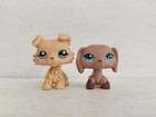 2pcs lot Lps Toy Littlest Pet Shop Collie Dachshund Dog  1194 518 Animal Figure