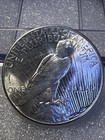 1925 Peace Dollar  90  Silver  Beautiful Coin  Eye Appeal  Luster  Very Nice 