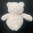 Hallmark Pink Teddy Bear Plush 7  Stuffed Animal Sits Shaggy Baby Lovey Toy 2011