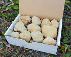 Break Your Own Geodes Gift Box  8 - 12 Pcs  Large Unopened Moroccan Crystals