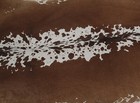 New Cowhide Rugs Area Cow Skin Leather 21 35 Sq feet  53 x58   Cow Hide U-1188