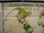 School Wall Map Beautiful Old Pflanzenverbreitung World 125x88 Vintage Map 1940