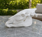Horse Skull Replica Full Size Realistic Animal Skull Decor