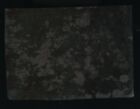 Large Outdoor Tintype Of A House 19th Century Antique Photo 1800s