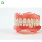 Complete Quality Denture Repair Kit With 28 Denture Teeth - No Instructions