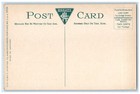 C1910 Golf Club House Grounds Pine Trees Palm Beach Florida Fl Vintage Postcard