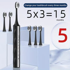 Sonic Electric Toothbrush     Usb Rechargeable With 5 Replacement Brush Heads
