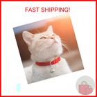 Upgraded Version 6 Pack Reflective Cat Collars With Bell breakaway Safety Kitten