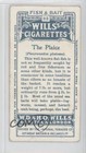 1910 Wills Cigarettes Fish   Bait Tobacco The Plaice  32 0pl9