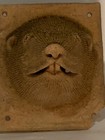 Fired Clay Beaver Head Suitable For Indoors Or Outdoors