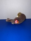 Ty Beanie Baby Jolly The Walrus 1996 Stuffed Animal 
