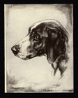 1930s Antique Pointer Art Print Malcolm Nicholson Pointer Illustration 6932j