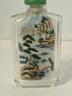 Vintage Lovely Painted Chinese Glass Snuff Bottle Original Box Double Sided
