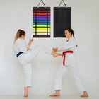 Karate Belt Display Rack Martial Arts Holder Holds 12 Belts Taekwondo