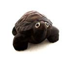 Vtg Japanese Cryptomeria Hand Carved Sugi Wood Turtle  Glass Eyes Signed  2 3 4 