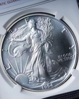1994 Silver Eagle   Mint Error Ms69 Obverse Struck Thru
