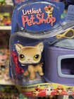 Littlest Pet Shop Lps Short Hair Cat W carrier Lot  19 Nib