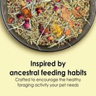 Kaytee Food From The Wild Natural Pet Rabbit Food  4 Pound 4  pack Of 1  