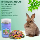 Rabbit Chew Treats - 560g Mixed Natural Timothy Hay Pumpkin Carrot Beet Chew Toy
