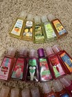 Vintage Bbw Pocketbac Fruit Collection          Retired Bath   Body Works Sanitizers
