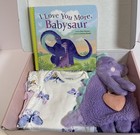 Baby Girl Shower Gift  New Mom   Newborn Present  Book  Bodysuits  Lovey Teether