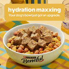 Purina Beneful Healthy Weight With Farm-raised Chicken Natural Dog Food Dry 36lb
