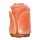 Tulip Shape Himalayan Pink Salt Lamp   Hand-carved Rock Salt Flower Lamp   Na   