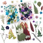  90 Pcs Real Dried Pressed Flowers And Leaves Natural Dried Petals For Candle 