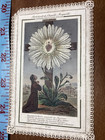 Antique Holy Card   1800   s Sacred Heart Jesus Christ Cross