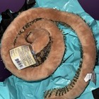 Sealed Code Ganz Webkinz Striped Snake Hm206 Plush Stuffed Animal Retired