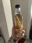 Two Preserved Squid Wet Specimens In Glass Hooch Bottle