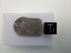 8 4 Gram Nwa 859  taza  Iron Meteorite Slice With Snowflake Etch