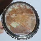 Antique Hatpin France Silver Gesetzl Gesch 800 With Butterfly Wings Under Glass