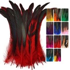 Colorful Rooster Tail Feathers-50pc 10-12inch Natural Long Red