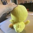 Warner Bros  Looney Tunes Tweety Bird Vintage 1994 Small Plush Stuffed  16 In