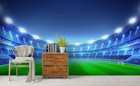 3d Stadium Night Scene Wall Murals Wallpaper Murals Wall Sticker