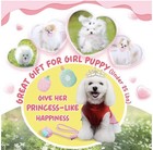 Puppy Toys For Boredom  23 Pack Chew Toys For Teething   Dogs