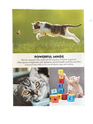 A Cat s Brain  Special Edition Paw Print Magazine