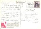 Beautiful Sea-shells  A Sea-shell Collectors Paradise  Florida Postcard