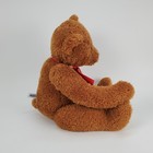 Fao Schwarz Teddy Bear Brown Plush Red Ribbon Logo 16 Inch Stuffed Animal