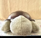 Cloud B Twilight Turtle Classic Tranquil Nightlight Star Projector