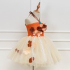Girls Princess Tutu Dress Lace Tulle Flower Costume Birthday Party Cosplay