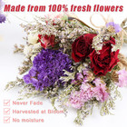 10 Pack Dried Flower Forget Me Not Bouquets Natural Dried Flower With Stem Dried