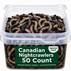 Canadian Nightcrawlers Free Priority Shipping  Live Arrival Guarantee