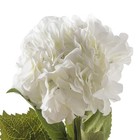 28  White Iridescent Hydrangea Silk Flower Stem By Ashland