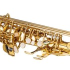 Ktaxon School Saxophone Eb Sax Alto E Flat Brass Full Kit Sax With Case Gold