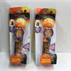 Lion King Sing Along Mp3 Microphone Sing To Built In Music Or Connect Your Audio
