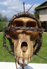 Anyang Fetish Bone Skull 15 Cm Nigeria African Art