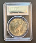 1923 Peace Silver Dollar  1 Pcgs Ms64 Choice Brilliant Uncirculated  White Coin