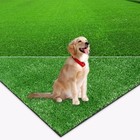 Ayoha Artificial Grass Turf 4ft 10inx8ft  Fake 5 Ft X 8 Ft   40 Square Ft  
